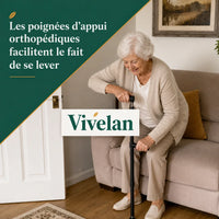 La canne d'appui Vivélan