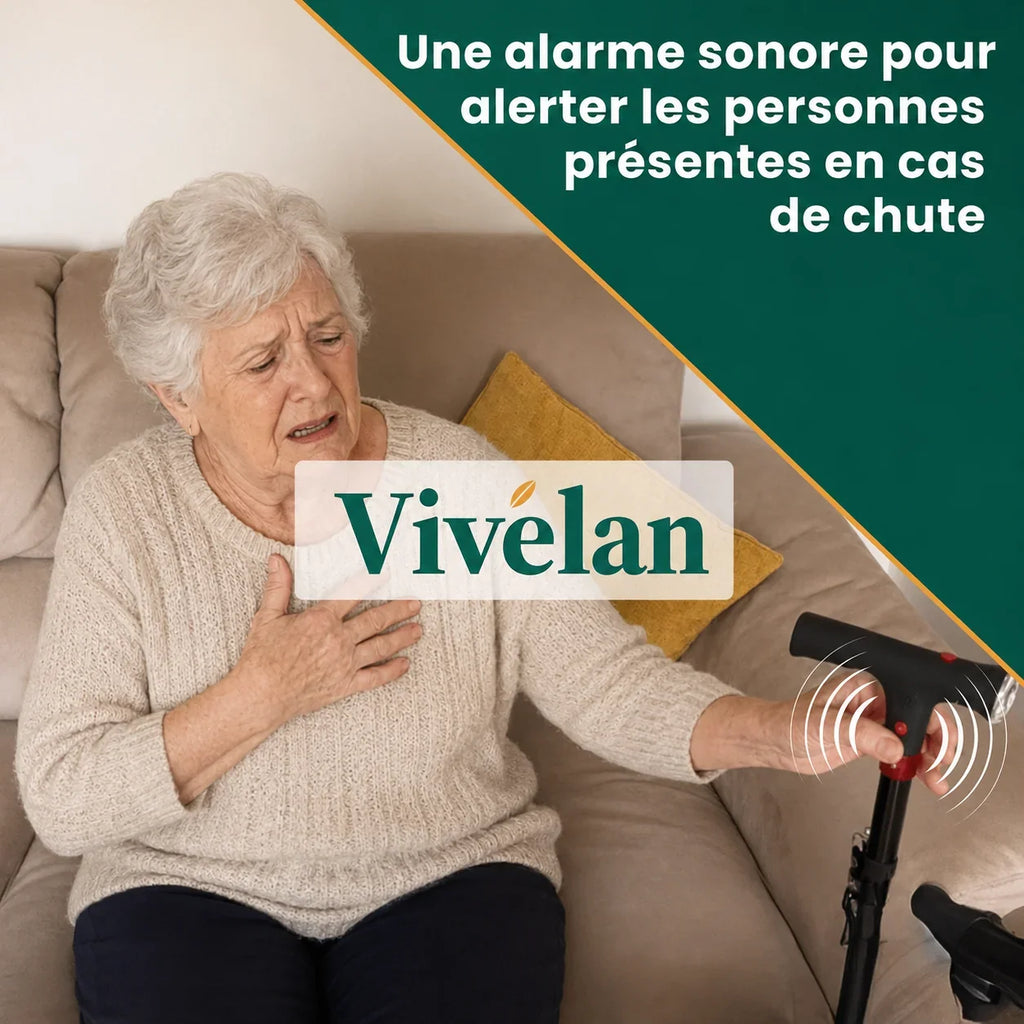 La canne d'appui Vivélan