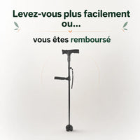 La canne d'appui Vivélan