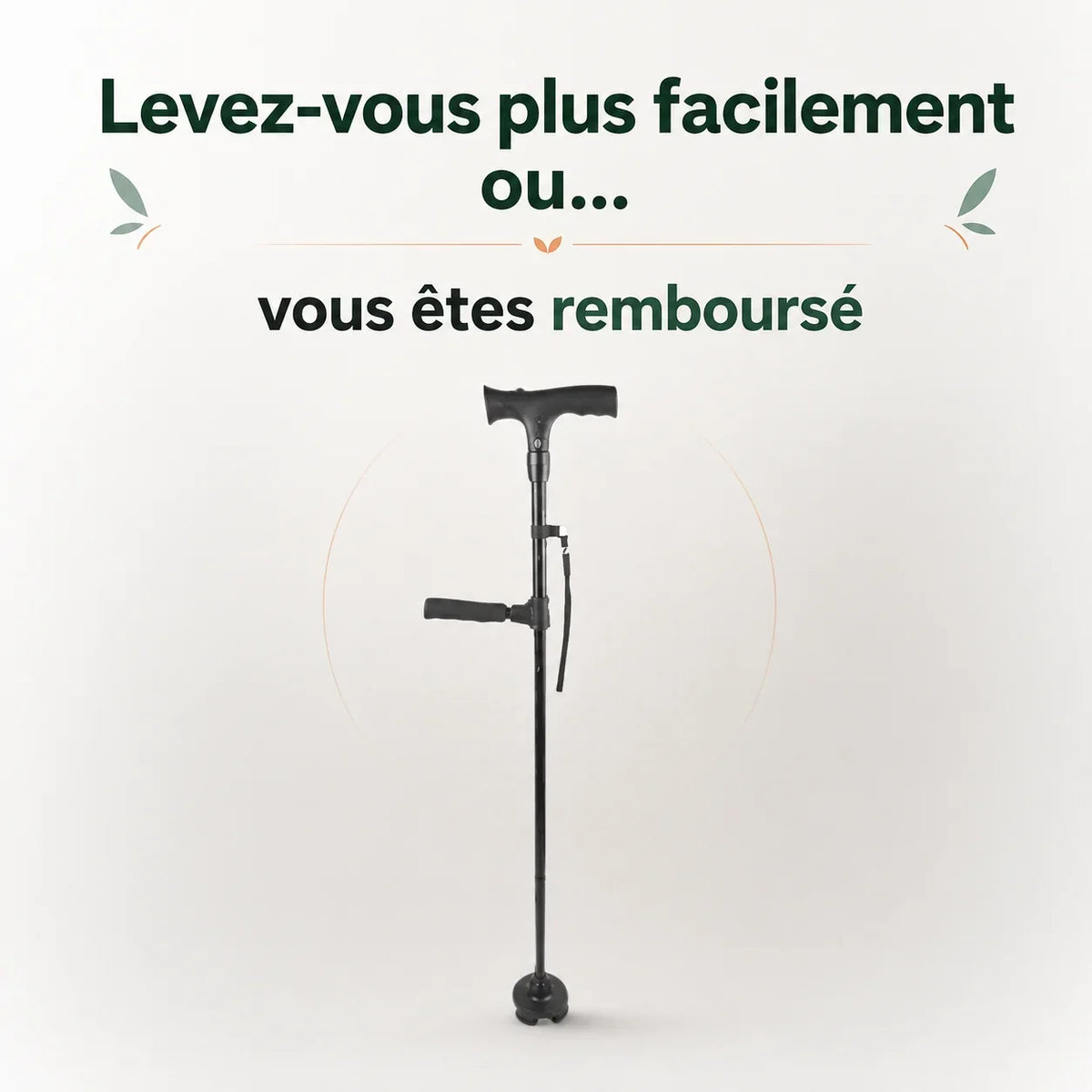 La canne d'appui Vivélan