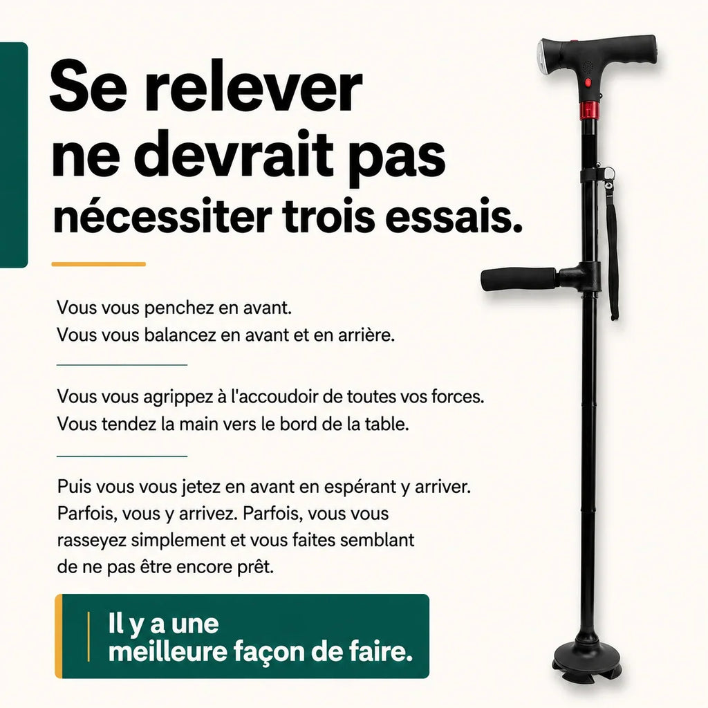 La canne d'appui Vivélan