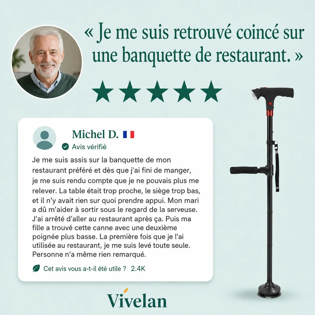 La canne d'appui Vivélan