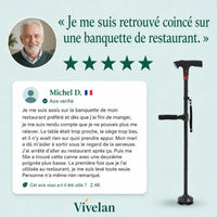 La canne d'appui Vivélan